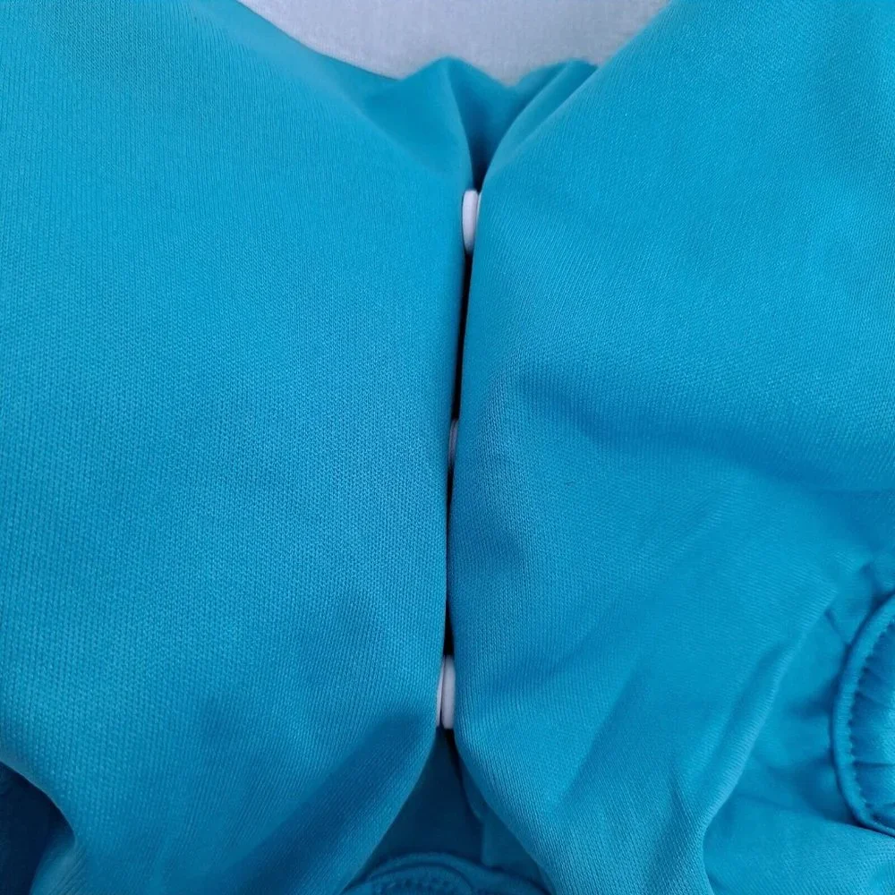 Dog Diaper Blue Washable snap back LARGE